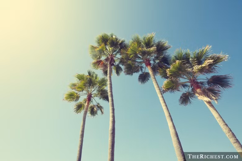 Tại California, chính quyền bang ra điều luật tôn trọng loài vật. Nếu một con ếch nào đó chết trong cuộc thi nhảy ếch tại California, nó sẽ không bị làm thịt.