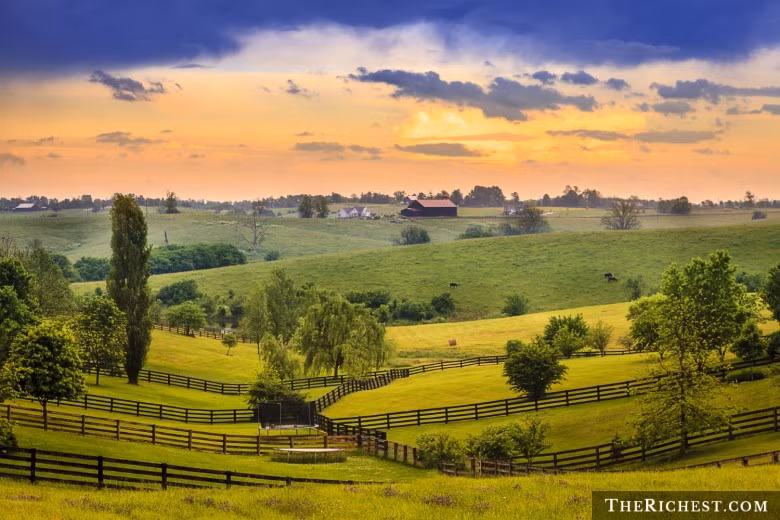 Một điều luật của bang Kentucky quy định, những người có chỉ số IQ thấp (dưới 30) sẽ không được phép đi bỏ phiếu.