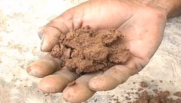 Không phải thức ăn, bùn đất và gạch vụn mới là "món tủ" của người này - Hình 2 Khong phai thuc an, bun dat va gach vun moi la "mon tu" cua nguoi nay-Hinh-2