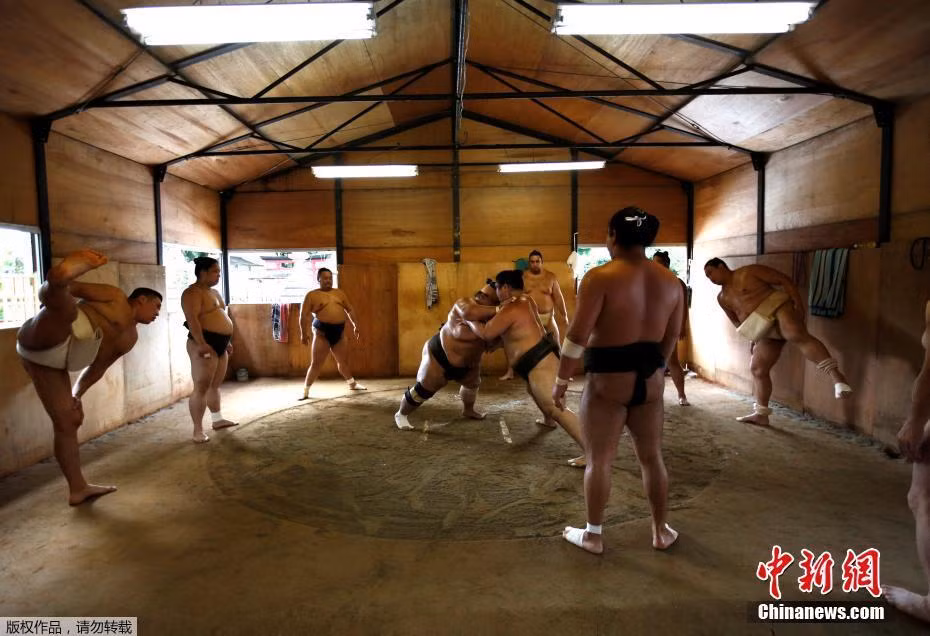 Tuy nhiên, việc ăn quá nhiều khiến các võ sĩ Sumo thường xuyên bị huyết áp cao, mắc phải bệnh tim và hàng loạt các loại bệnh khác. Vì vậy, trên thực tế, sự nghiệp của một võ sĩ Sumo chẳng mấy lâu dài. (Nguồn Sina)