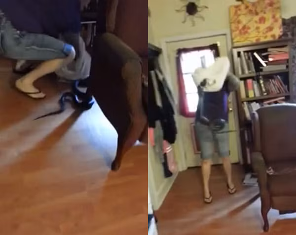 Ran bo vao phong, nguoi phu nu lam dieu ai cung hai