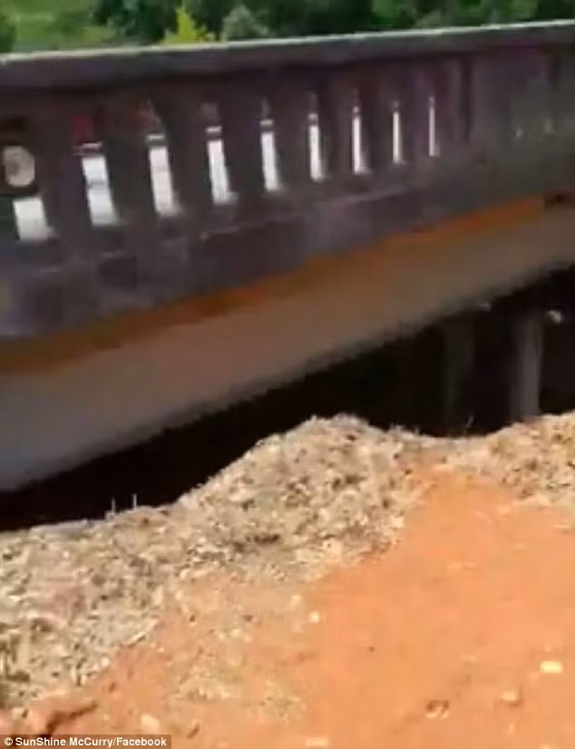 Ran bo vao phong, nguoi phu nu lam dieu ai cung hai-Hinh-4