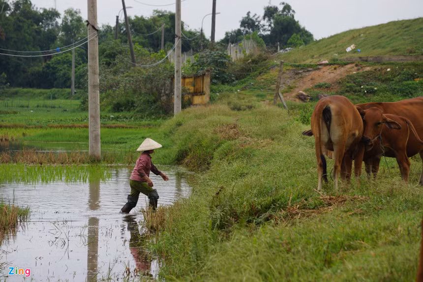 Một số hộ cố gắng trồng trọt thì thường hứng chịu mùi hôi và mắc phải các căn bệnh da liễu. Theo người dân, mỗi khi có gió Tây Nam, mùi hôi của xuất hiện trên phạm vi rộng, đặc biệt, là các khu dân cư xung quanh như phường Bắc Sơn, Trung Sơn và Quảng Tiến.