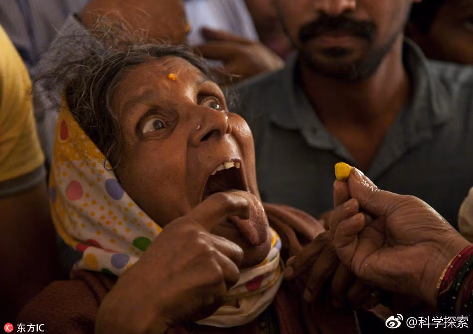 Ở Ấn Độ, khi bị hen suyễn, bạn có thể được chữa bệnh bằng một loại thuốc kỳ quặc, gọi là "thuốc cá". Thực chất, người bệnh sẽ phải nuốt cá sống nuốt cá với niềm tin rằng họ sẽ tránh được bệnh hen suyễn. (Nguồn Sina)