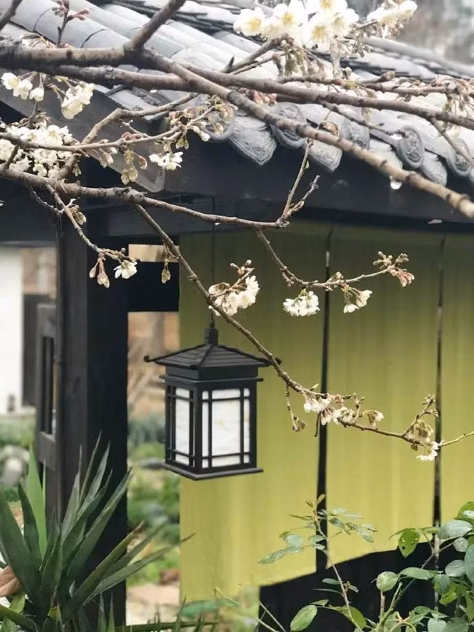 Ngay cả chủ nhà của Bạch Lộc, sau khi nhìn thấy sự thay đổi ngoạn mục của ngôi nhà cũng không kìm được lòng, liên tục thán phục chàng trai trẻ. (Nguồn Youthwant)