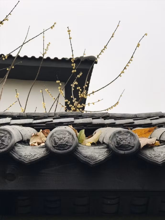 Rất nhiều vật liệu, Bạch Lộc đặt mua trên taobao và hầu như anh chỉ mua đồ cũ. (Nguồn Youthwant)