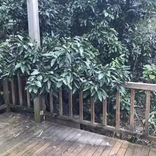 Đầu tiên, việc dọn dẹp cực kỳ vất vả. Đã có lúc Bạch Lộc nản lòng nhưng nghĩ đến căn nhà này sẽ trở thành nơi sống và làm việc lý tưởng của mình, Bạch Lộc lại tiếp tục cố gắng. (Nguồn Youthwant)