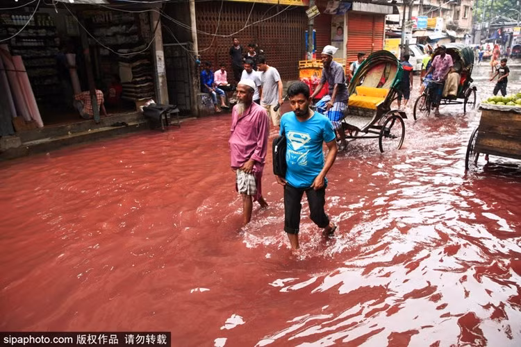 Chính vì xem nhẹ việc xử lý chất thải công nghiệp, người dân nơi đây đã phải gánh chịu hậu quả nặng nề từ ô nhiễm môi trường. (Nguồn Sina)