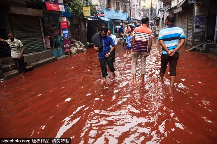 Được biết, việc công nghiệp hóa diễn ra quá nhanh chóng Bangladesh, đặc biệt là về lĩnh vực dược phẩm, thuộc da đã khiến nước này là nạn nhân của vô số hóa chất công nghiệp. (Nguồn Sina)