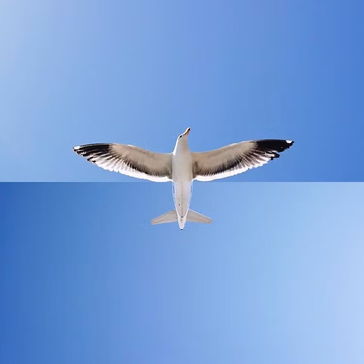 Nhờ tính độc đáo, mới lạ trong tác phẩm nghệ thuật của mình, Stephen nhận được sự quan tâm của đông đảo người xem, trong đó rất nhiều người bày tỏ sự ngưỡng mộ. (Nguồn Sina)