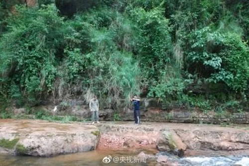 Các chuyên gia cho rằng, chủ nhân của những dấu chân khổng lồ này chủ yếu là khủng long dạng chim, bên cạnh đó còn có cả hai loài khủng long ăn thịt khác, là điển hình của sự sinh sống kết hợp của khủng long kỷ Phấn Trắng. (Nguồn Sina)