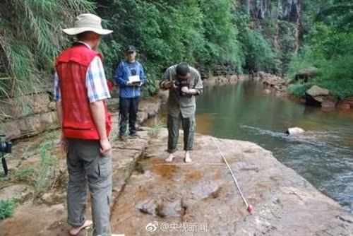 Các chuyên gia cũng khẳng định rằng thung lũng này là một nơi sinh sống rất được ưa thích và quan trọng đối với các nhóm khủng long thời đó. Hiện tại, vẫn còn tồn tại cây dẻ ngựa mọc quanh đó, loài cây thức ăn của khủng long ăn cỏ. (Nguồn Sina)