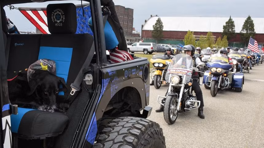 DeYoung cho biết anh từng ôm Cena qua sông và lấy thân mình che chắn cho con chó dưới làn đạn của quân Taliban. Ạnh nói Cena đã giúp anh giữ ấm cơ thể trong những đêm lạnh trên sa mạc và an ủi anh khi anh mất đi 7 đồng đội trong ba tuần. Trong ảnh, Cena ngồi trên xe jeep do DeYoung chuẩn bị cho chuyến đi cuối cùng của "người bạn thân".