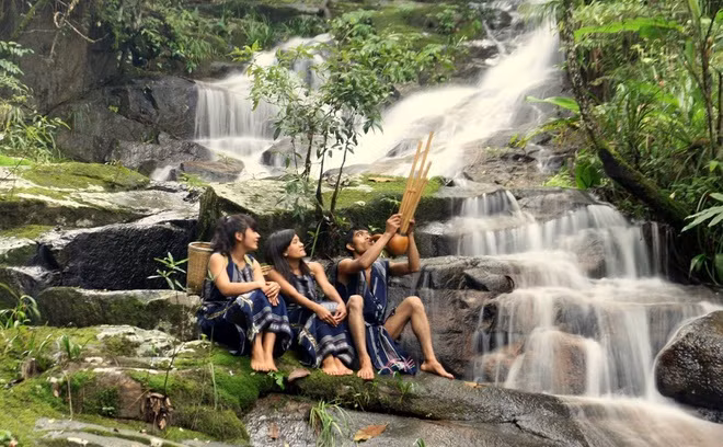 Vườn quốc gia Bidoup - Núi Bà được thành lập vào năm 2004, trên cơ sở chuyển hạng Khu bảo tồn thiên nhiên Bidoup - Núi Bà. Nơi đây góp phần bảo tồn đa dạng sinh học vùng, bảo tồn các đặc trưng văn hóa bản địa, phục vụ nghiên cứu khoa học - giáo dục, phát triển du lịch sinh thái, củng cố an ninh - quốc phòng... Ảnh: Vườn quốc gia Bidoup - Núi Bà.