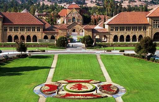 Trong khuôn viên Đại học Stanford có những bãi cỏ xanh mát và đầy đủ wifi. Nhờ vậy, sinh viên có thể đến đây thư giãn và học tập.