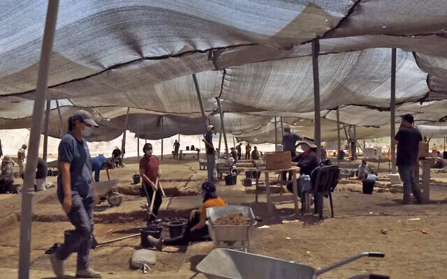 Để thay thế cho thịt lợn, các gia đình sống cách đây 1.000 năm sử dụng trứng gà và thịt gà.