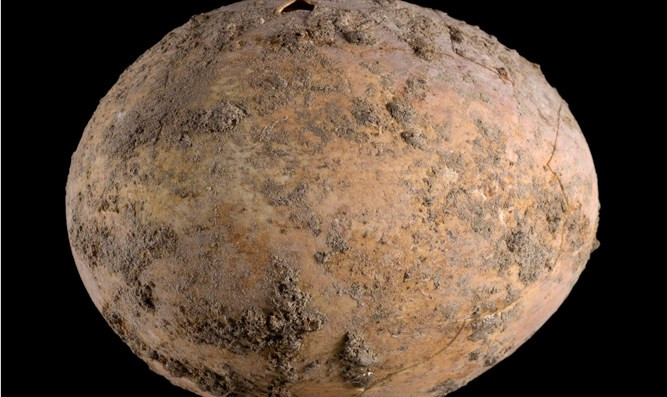 Các nhà khoa học sử dụng phần còn lại bên trong quả trứng để kiểm tra, phân tích ADN. Từ đó, các chuyên gia sẽ từng bước giải mã việc chăn nuôi gia cầm của con người vào 1.000 năm trước.