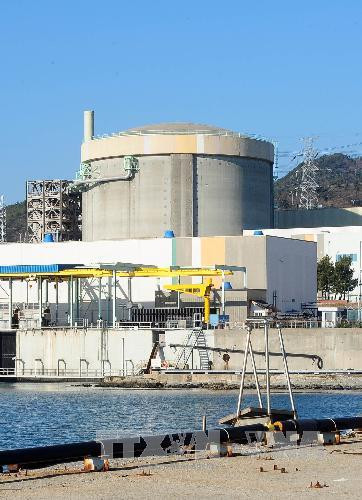 Vào tháng 10/2017, Tập đoàn Điện Hạt nhân và Thủy điện Hàn Quốc - đơn vị vận hành nhà máy điện hạt nhân Wolseong tại Đông Nam Hàn Quốc - đưa ra thông báo về việc một trong số các lò phản ứng tại nhà máy điện này bị rò rỉ chất làm nguội và sẽ tạm dừng hoạt động.