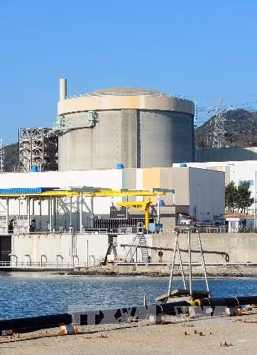 Vào tháng 10/2017, Tập đoàn Điện Hạt nhân và Thủy điện Hàn Quốc - đơn vị vận hành nhà máy điện hạt nhân Wolseong tại Đông Nam Hàn Quốc - đưa ra thông báo về việc một trong số các lò phản ứng tại nhà máy điện này bị rò rỉ chất làm nguội và sẽ tạm dừng hoạt động.