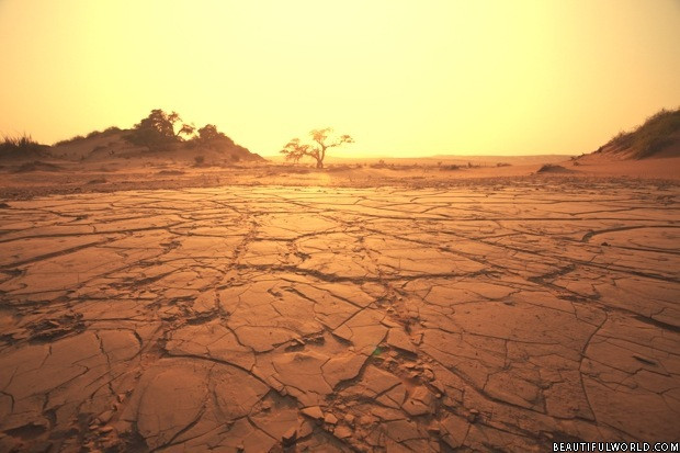 Các khu vực sát biển ở sa mạc Namib có nhiệt độ khá ổn định trong năm khi nhiệt độ dao động trong khoảng 9 - 20 độ C.