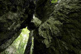 Những tài liệu lịch sử ghi chép giai đoạn từ năm 1655 - 1657 cho thấy khu vực phát hiện bộ hài cốt từng bị chiếm đóng bởi một đội quân do Vua Charles X Gustav của Thụy Điển chỉ huy.