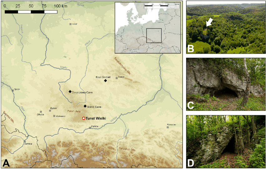 Quân đội của Vua Charles X Gustav bao gồm nhiều binh sĩ đến từ Phần Lan và Karelia. Những người lính này thường đi cùng gia đình của họ.