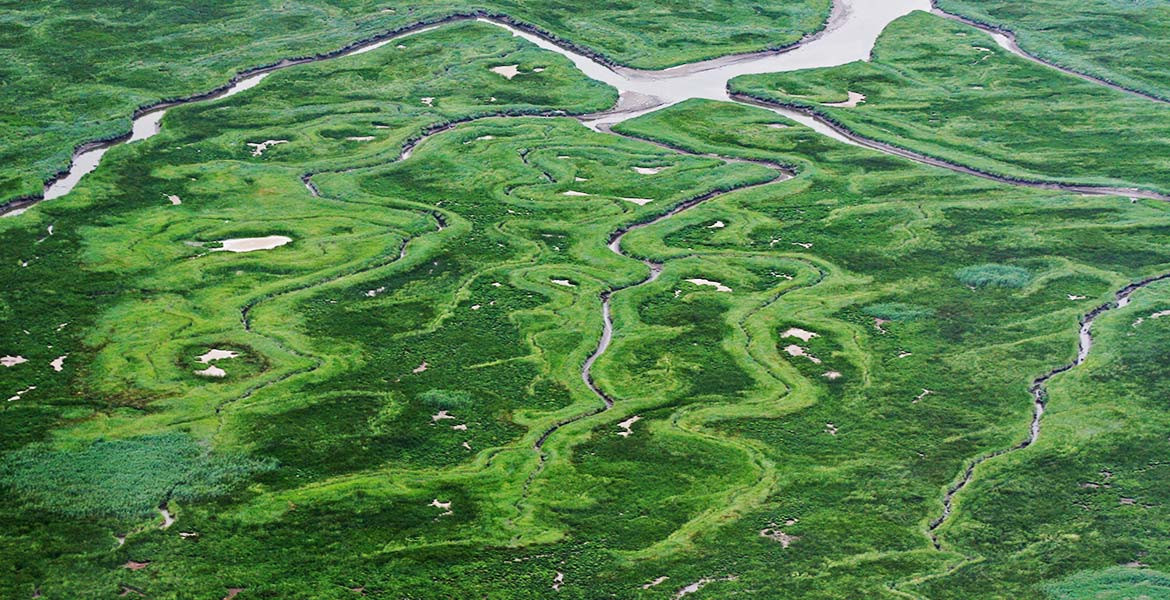 Thế nhưng, phần lớn đất đai xung quanh Saeftinghe đã bị nước lũ nhấn chìm trong trận lụt lịch sử năm 1570.