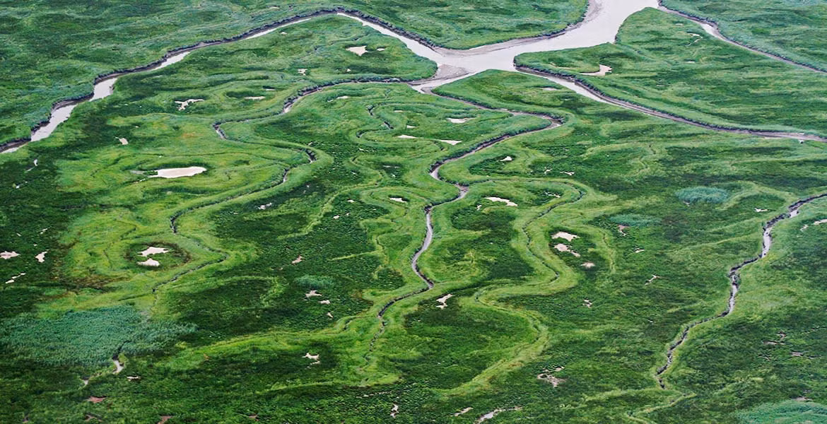 Thế nhưng, phần lớn đất đai xung quanh Saeftinghe đã bị nước lũ nhấn chìm trong trận lụt lịch sử năm 1570.