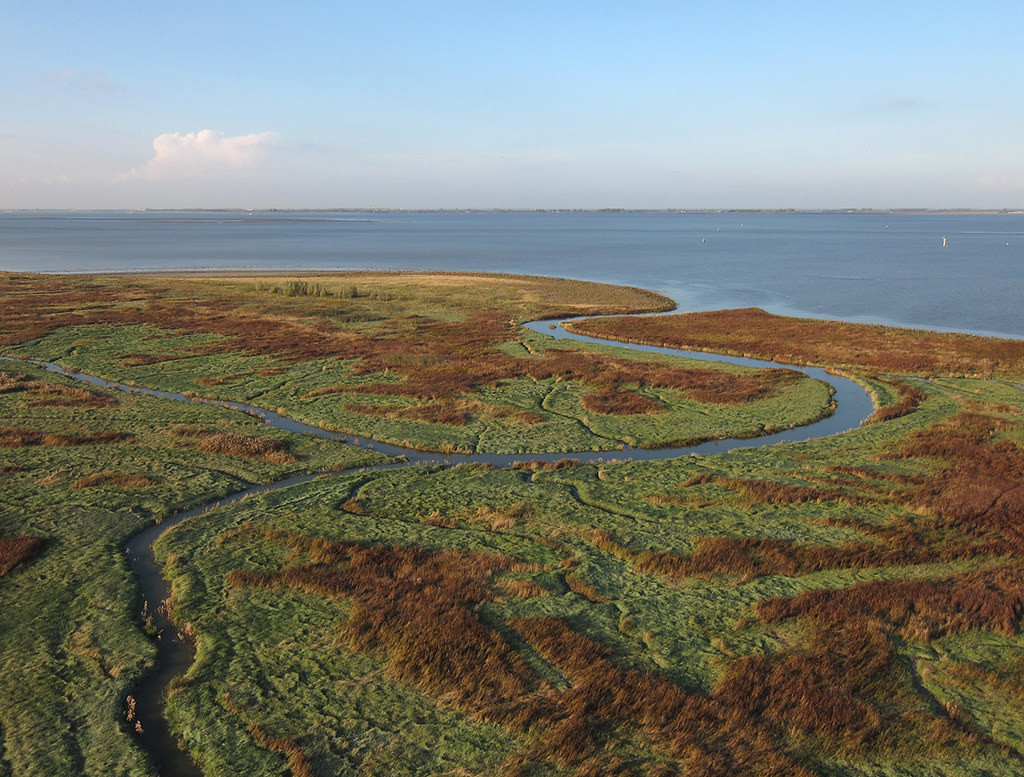 Trước khi có diện mạo như ngày nay, Saeftinghe từng là một ngôi làng thịnh vượng, đông đúc người sinh sống.