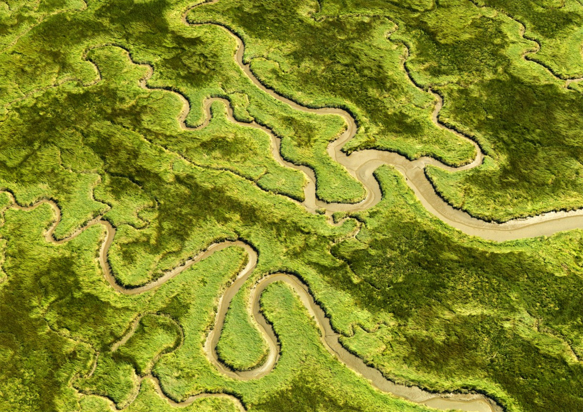 Người dân cũng đắp đê xung quanh khu đất khai hoang để bảo vệ nơi này khỏi các đợt lũ lụt.