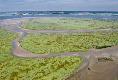 Đến năm 1584, binh sĩ Hà Lan chiến đấu trong cuộc chiến giành độc lập từ người Tây Ban Nha buộc phải phá hủy hàng rào đê cuối cùng ở Saeftinghe. Theo đó, toàn bộ các công trình ở Saeftinghe biến mất khỏi mặt đất.