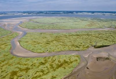 Đến năm 1584, binh sĩ Hà Lan chiến đấu trong cuộc chiến giành độc lập từ người Tây Ban Nha buộc phải phá hủy hàng rào đê cuối cùng ở Saeftinghe. Theo đó, toàn bộ các công trình ở Saeftinghe biến mất khỏi mặt đất.