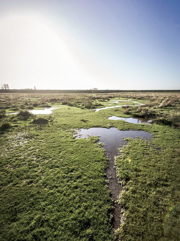 Các chuyên gia đã tìm thấy một số viên gạch tại Saeftinghe và tiến hành phục hồi. Họ suy đoán chúng có thể thuộc về một tu viện bị trận lũ năm 1570 cuốn đi.