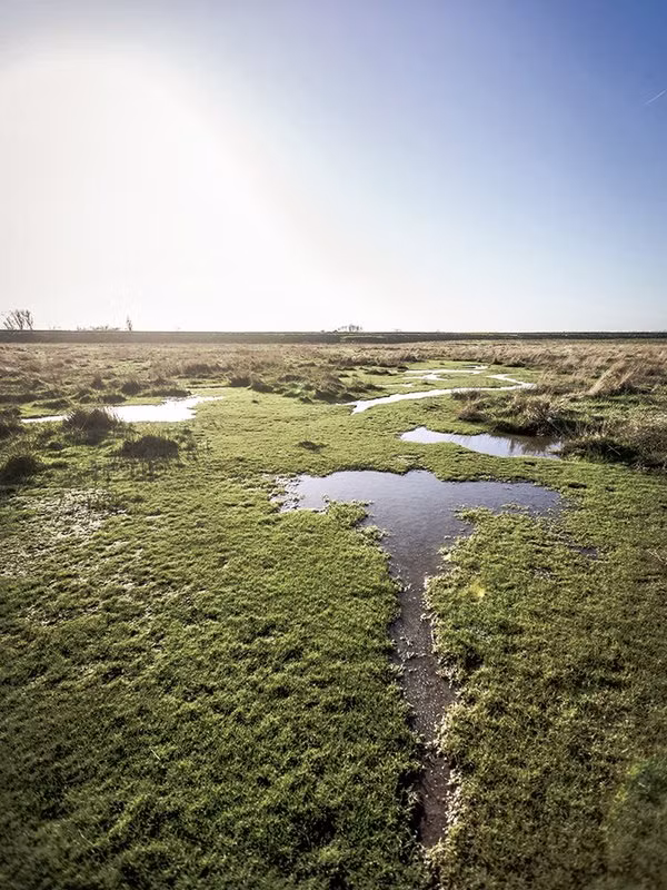 Các chuyên gia đã tìm thấy một số viên gạch tại Saeftinghe và tiến hành phục hồi. Họ suy đoán chúng có thể thuộc về một tu viện bị trận lũ năm 1570 cuốn đi.