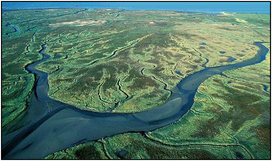 Tuy nhiên, một truyền thuyết địa phương rằng, trận lũ lụt năm 1570 xảy ra là nàng tiên cá nổi cơn thịnh nộ. Điều này xuất phát từ việc sinh vật bí ẩn này bị người dân trong làng bắt được và giam cầm.