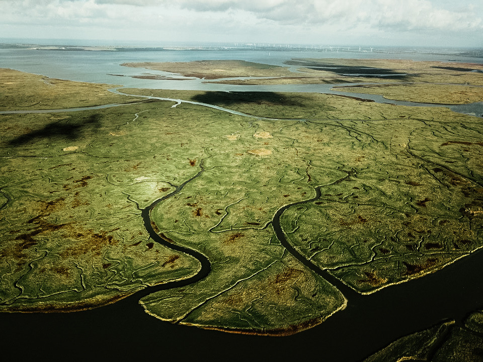 Ngày nay, khu định cư ở Saeftinghe bị chôn vùi dưới nhiều lớp cát và đất sét.