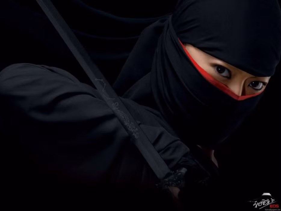 Ở Nhật Bản hàng trăm năm trước, để trở thành một ninja xuất sắc thì nam giới phải trải qua quá trình rèn luyện vô cùng khắc khổ. Do vậy, hầu như không có phụ nữ nào có thể theo được.