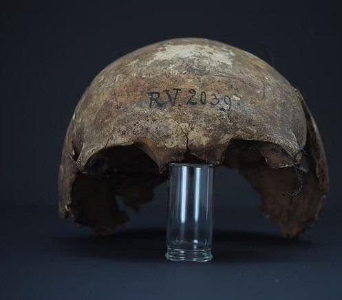 Tuy nhiên, mới đây, các nhà khoa học công bố kết quả nghiên cứu cho thấy vi khuẩn Yersinia pestis xuất hiện sớm hơn rất nhiều so với thời điểm bùng phát đại dịch Cái chết Đen.