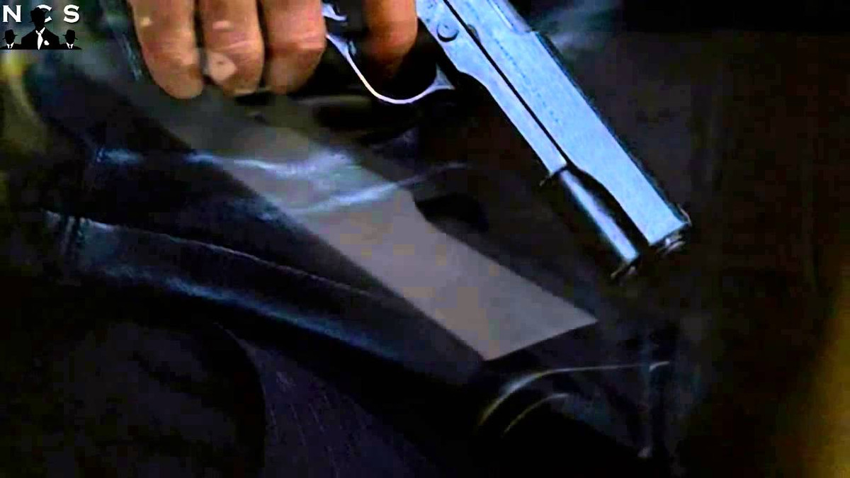 Đến đầu những năm 1980, Alexander làm trong ngành cảnh sát. Thế nhưng, gã bị sa thải sau 6 tháng làm việc. Nguyên là bởi gã có những hành động quá hung bạo đối với các nghi phạm.