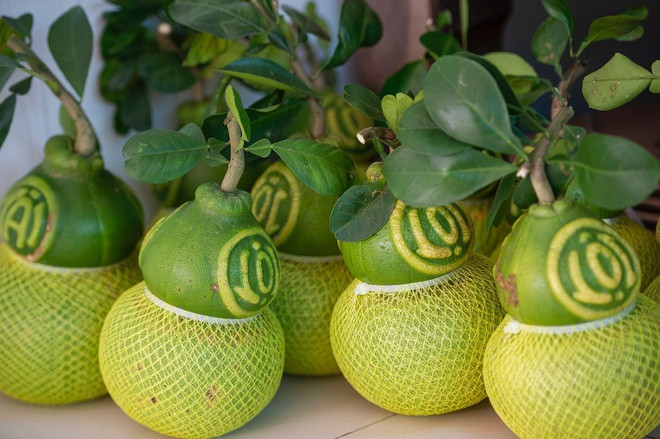 Huyện Châu Thành của Hậu Giang nổi tiếng với đặc sản bưởi Năm Roi Phú Hữu. Đặc biệt, sản phẩm bưởi được tạo hình hồ lô, có in chữ Tài, Lộc được nhiều người ưa chuộng, tìm mua, nhất là vào dịp Tết Nguyên đán.