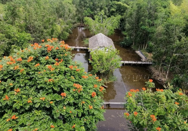 Khu bảo tồn thiên nhiên Lung Ngọc Hoàng nằm tại huyện Phụng Hiệp, tỉnh Hậu Giang. Theo trang thông tin giới thiệu, nơi đây có hệ thực vật thuộc hệ sinh thái đất ngập nước với những quần thể đa dạng như choại, tràm, lau, sậy, bòng bong, trâm sắn, ngái lông, mua, gừa... cùng các loài động vật quý hiếm.