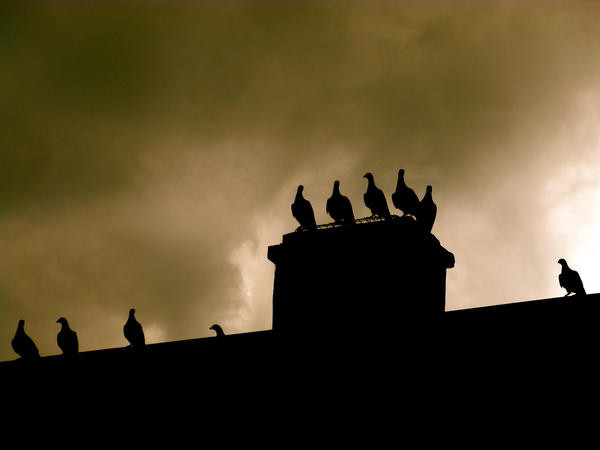 Đây chỉ là giả thuyết. Do sự việc xảy ra cách đây khá lâu nên các chuyên gia gặp nhiều khó khăn, thách thức khi giải mã sự việc bí ẩn này. Đến nay, sự việc này vẫn là một bí ẩn khó giải.