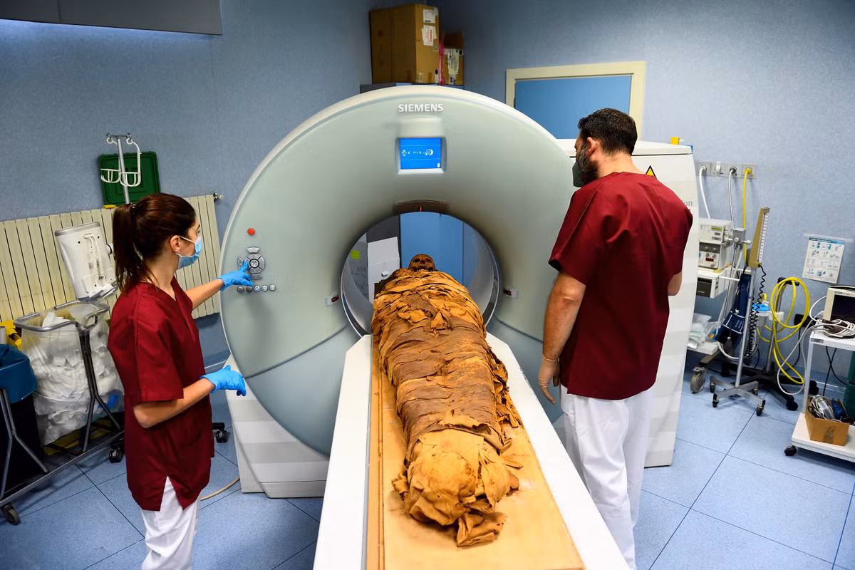 Trong số này có việc các chuyên gia hy vọng với những công nghệ hiện đại như hiện nay sẽ làm sáng tỏ độ tuổi tử vong của Ankhekhonsu cũng như vóc dáng cơ thể, các bệnh lý từng gặp phải, chế độ ăn uống...