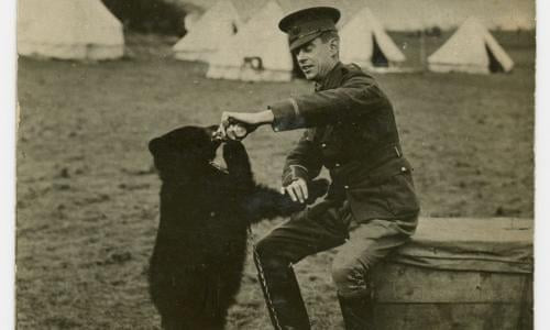 Sở thú London là nơi sinh sống của chú gấu nổi tiếng thế giới có tên Winnie. Nó được đưa tến vườn thú này từ năm 1914 và sống ở đây cho tới năm 1934.