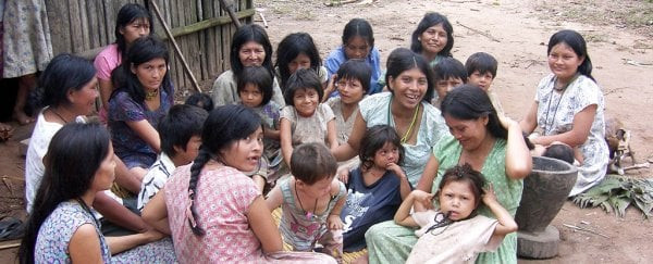 Đội ngũ y bác sĩ tiến hành chụp CT để kiểm tra não cũng như một số kiểm tra tim của người Tsimané. Sau đó, họ đem so sánh với kết quả kiểm tra sức khỏe của người Đức, Mỹ và Hà Lan.