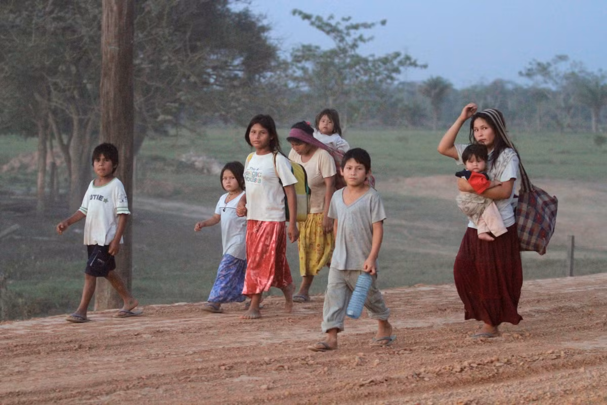 Kết quả so sánh cho thấy người Tsimané có bộ não và trái tim khỏe mạnh hơn người dân đến từ các quốc gia trên.