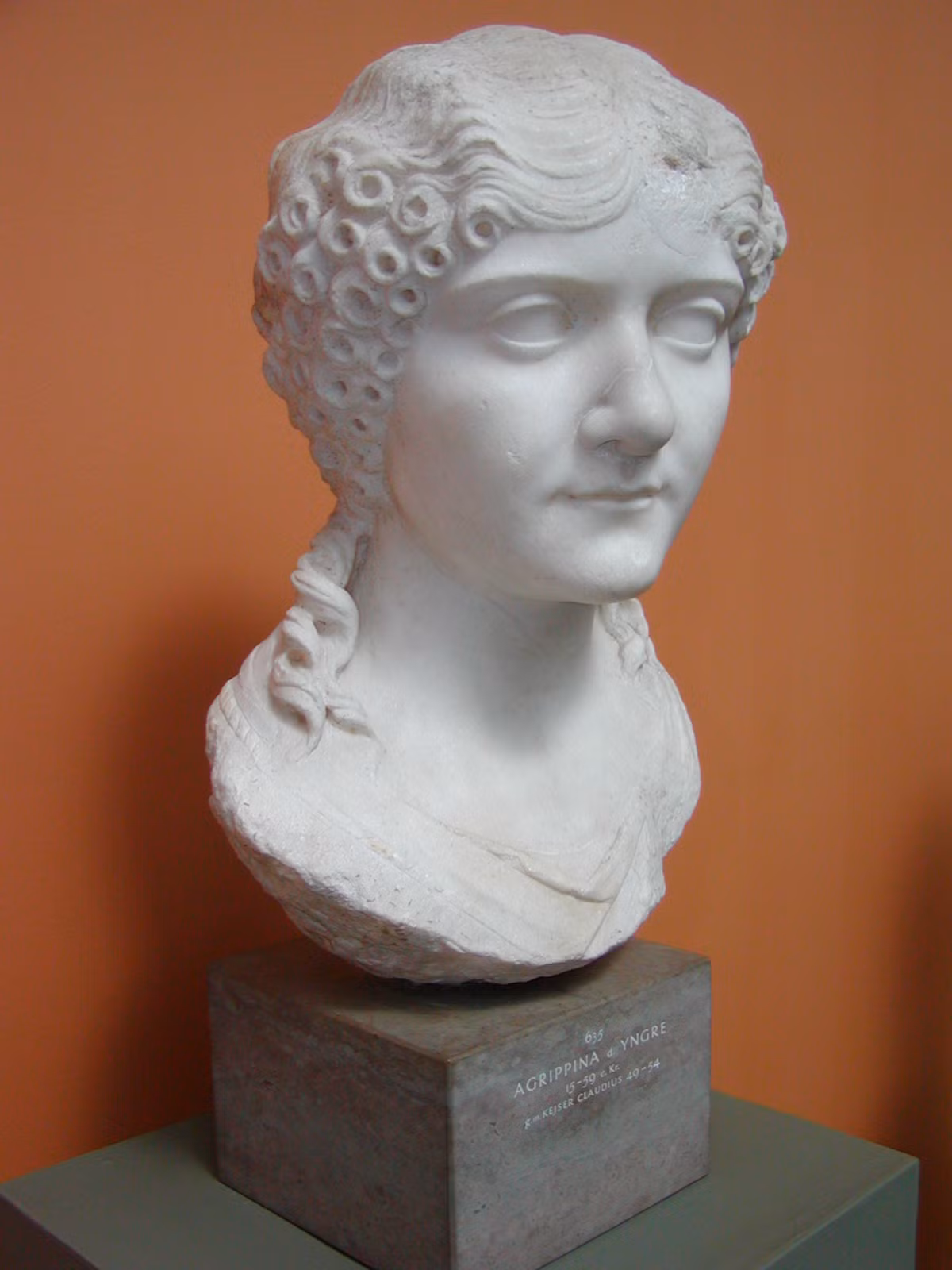 Là một người phụ nữ nhiều dã tâm, Julia âm mưu cùng người anh rể đầu độc Caligula để chiếm ngai vàng. Thế nhưng, kế hoạch của bà không thành. Kết quả là người anh rể bị nhà vua xử tử. Trong khi đó, Caligula tịch thu mọi tài sản, tước vị và bắt Julia đi lưu đày biệt xứ. Con trai Nero được phép ở lại và giao cho một gia đình quý tộc La Mã nuôi dưỡng.