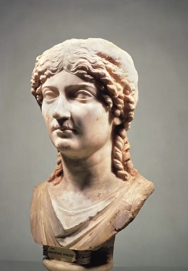 Julia xuất thân trong một gia đình quyền quý ở La Mã. Mẹ của bà là Vipsania Agrippina (hay còn gọi Agrippina the Elder) - cháu gái của hoàng đế Augustus. Cha của Julia là Germanicus - con nuôi của hoàng đế Tiberius và là cháu ruột của Mark Antony.