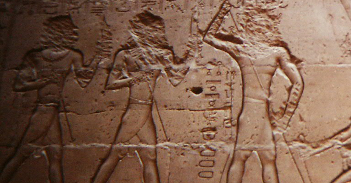 Trong trường hợp phạm nhân trốn ra khỏi Rhinocolura thì gương mặt không có mũi sẽ tố cáo họ với mọi người xung quanh về việc bản thân là tội phạm bỏ trốn.