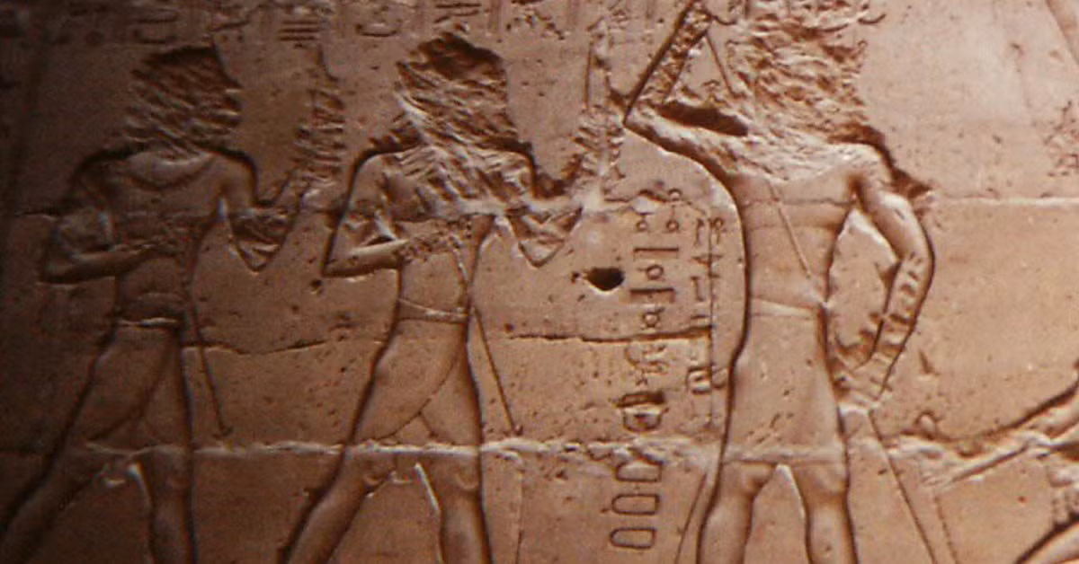 Trong trường hợp phạm nhân trốn ra khỏi Rhinocolura thì gương mặt không có mũi sẽ tố cáo họ với mọi người xung quanh về việc bản thân là tội phạm bỏ trốn.